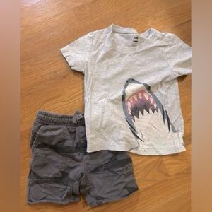 Tea Collection Size 3 Shark Set